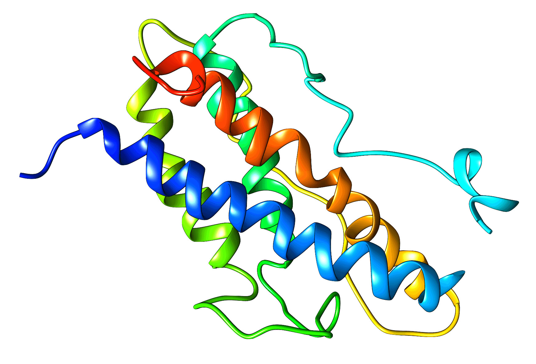 Human growth hormon cartoon rendition, depicting various alpha helices.